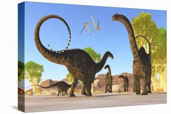 Herd of Apatosaurus Dinosaurs Wander Through a Prehistoric Forest-null-Stretched Canvas