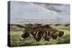 Herd of Bison Crossing a River Bottom on the Great Plains-null-Premier Image Canvas