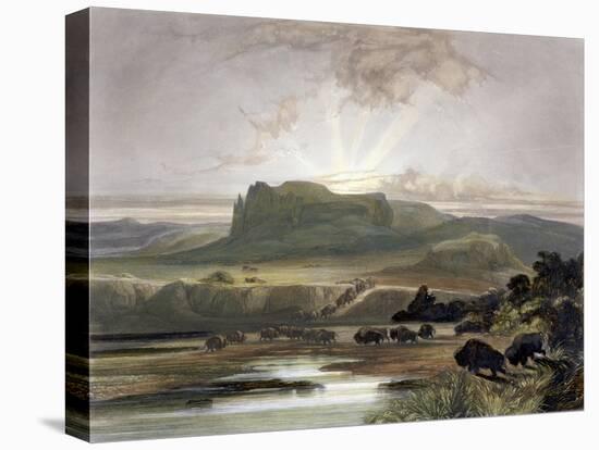 Herd of Bison on the Upper Missouri-Karl Bodmer-Premier Image Canvas