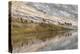 Herd of Elk and Reflection, Canary Spring, Yellowstone National Park, Wyoming-Adam Jones-Premier Image Canvas