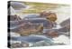 Herd of Hippos Grouped Together, Resting in Water, Sleeping-James Heupel-Premier Image Canvas