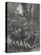 Herd of Wild Boar Wander Through the Woods-Specht-Premier Image Canvas