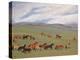 Herding Horses, Inner Mongolia-Vincent Haddelsey-Premier Image Canvas
