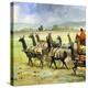 Herds of Llamas in the Andes-Ferdinando Tacconi-Premier Image Canvas