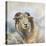 Herdwick Sheep-Dina Perejogina-Stretched Canvas