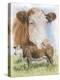 Hereford-Barbara Keith-Premier Image Canvas