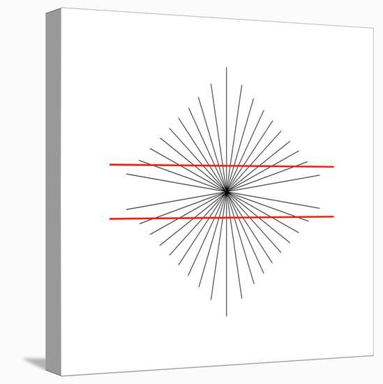 Hering Illusion-Science Photo Library-Premier Image Canvas