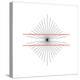 Hering Illusion-Science Photo Library-Premier Image Canvas