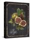 Heritage Figs-Chad Barrett-Stretched Canvas