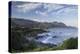 Hermanus, Western Cape, South Africa, Africa-Ian Trower-Premier Image Canvas