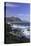 Hermanus, Western Cape, South Africa, Africa-Ian Trower-Premier Image Canvas
