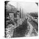 Herod's Street of Columns, Samaria, Palestine (Israe), 1905-Underwood & Underwood-Premier Image Canvas