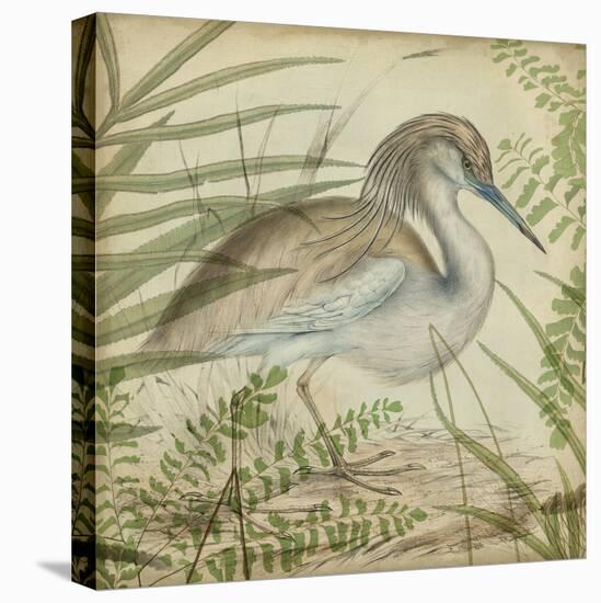 Heron and Ferns II-Vision Studio-Stretched Canvas