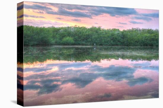 Heron and Mangroves-Robert Goldwitz-Premier Image Canvas