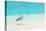 Heron at the Beach on Maldivian Island-haveseen-Premier Image Canvas