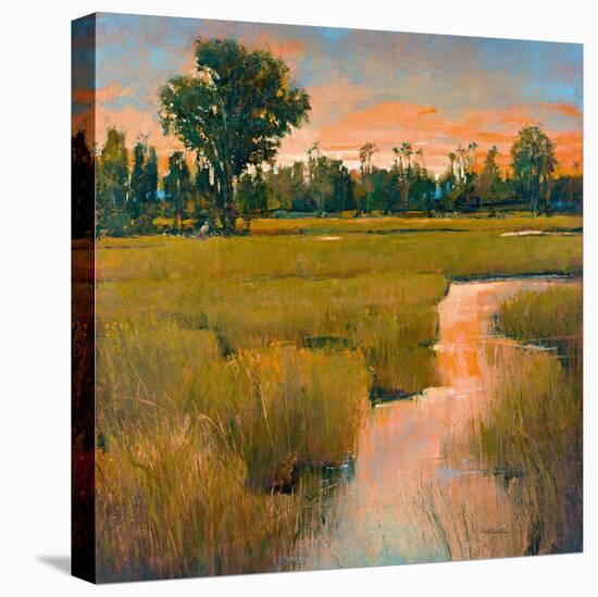 Heron Lake I-Patrick-Stretched Canvas