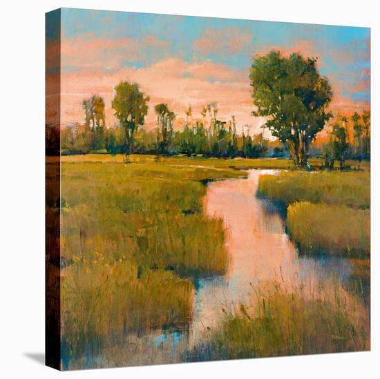 Heron Lake II-Patrick-Stretched Canvas