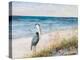 Heron Ocean View-Julie DeRice-Stretched Canvas