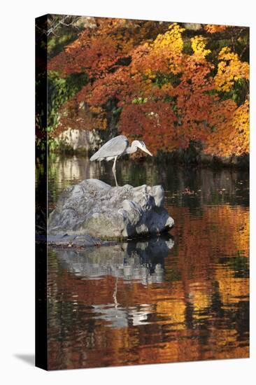 Heron on Lake in Autumn, Eikan-Do Temple, Northern Higashiyama, Kyoto, Japan-Stuart Black-Premier Image Canvas