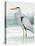 Heron on Seaglass I-Lanie Loreth-Stretched Canvas