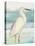 Heron on Seaglass II-Lanie Loreth-Stretched Canvas