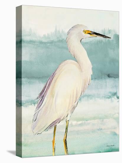 Heron on Seaglass II-Lanie Loreth-Stretched Canvas
