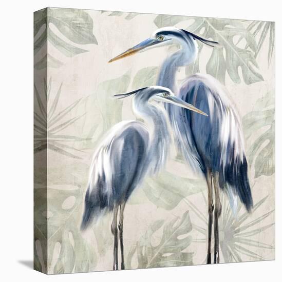 Heron Palms-Kimberly Allen-Stretched Canvas