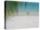 Heron Wading Along Water's Edge on Tropical Beach, Maldives, Indian Ocean-Papadopoulos Sakis-Premier Image Canvas