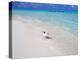 Heron Walking Along Waters Edge on Tropical Beach, Maldives, Indian Ocean-Sakis Papadopoulos-Premier Image Canvas