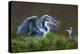 Heron with Chick-Xavier Ortega-Premier Image Canvas