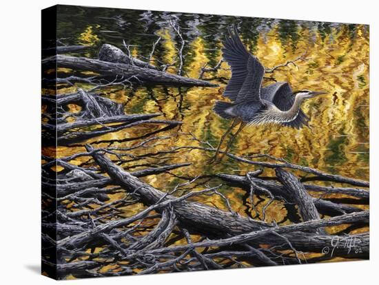 Heron-Jeff Tift-Premier Image Canvas