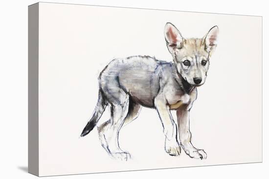 Hesitating Arabian Wolf Pup, 2009-Mark Adlington-Premier Image Canvas