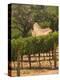 Hess Collection and Winery Vineyard View, Napa Valley, California-Walter Bibikow-Premier Image Canvas