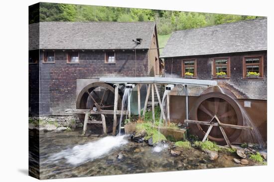 Hexenlochmuehle Mill Near Furtwangen in Spring, Black Forest, Baden Wurttemberg, Germany-Markus Lange-Premier Image Canvas