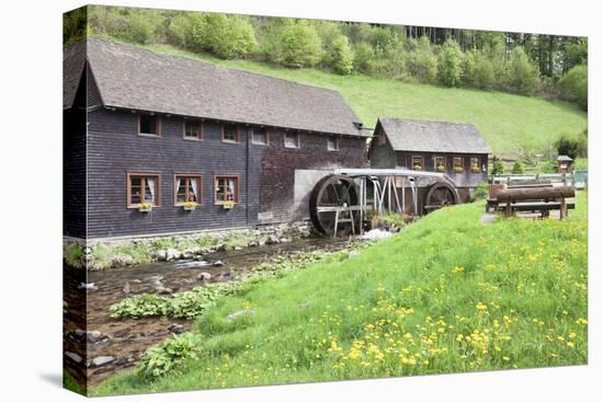 Hexenlochmuehle Mill Near Furtwangen in Spring, Black Forest, Baden Wurttemberg, Germany-Markus Lange-Premier Image Canvas