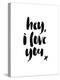 Hey I Love You-Brett Wilson-Stretched Canvas