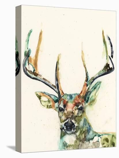 Hi Fi Wildlife II-Jennifer Goldberger-Stretched Canvas