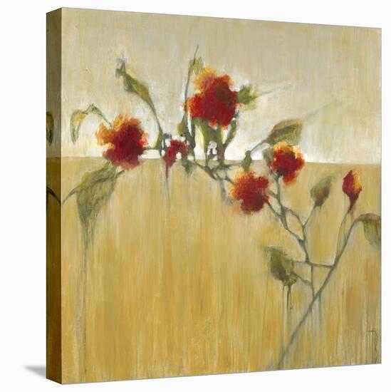 Hibiscus Blooms-Terri Burris-Stretched Canvas