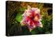 Hibiscus Flower in the Galaxy Garden, Paleaku Gardens Peace Sanctuary, Hawaii, Usa-Russ Bishop-Premier Image Canvas