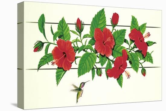 Hibiscus Hummer-null-Premier Image Canvas