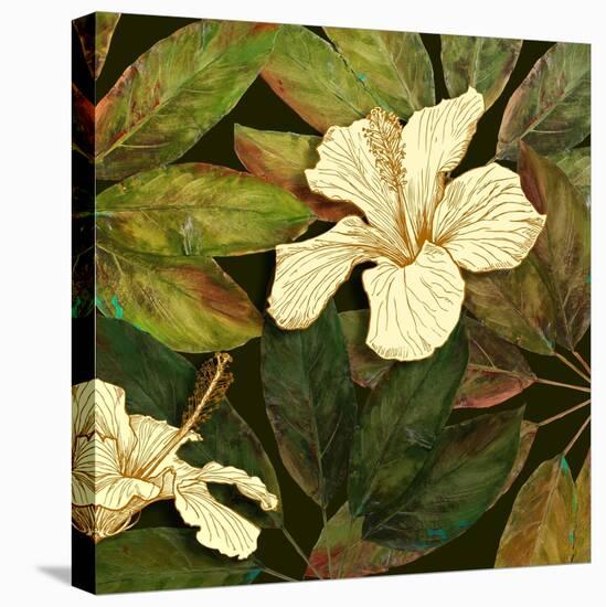 Hibiscus Leaves II-Patricia Pinto-Stretched Canvas