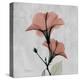 Hibiscus Marsala-Albert Koetsier-Stretched Canvas