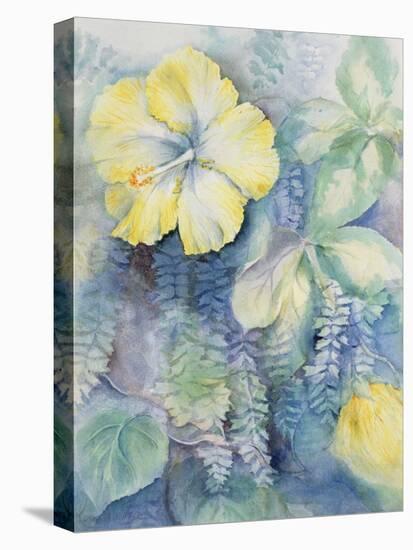 Hibiscus, Yellow-Karen Armitage-Premier Image Canvas