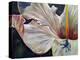 Hibiscus-Jennifer Redstreake Geary-Stretched Canvas