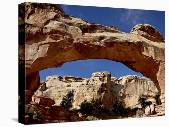 Hickman Bridge, Capitol Reef National Park, Utah, United States of America, North America-James Hager-Premier Image Canvas