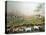 Hicks: Cornell Farm, 1848-Edward Hicks-Premier Image Canvas