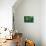 Hidden Green-Steve Hunziker-Stretched Canvas displayed on a wall