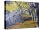 Hidden Lake Treasures-Rusty Frentner-Premier Image Canvas