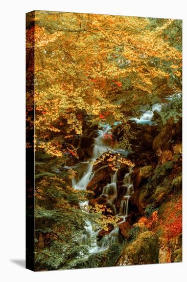 Hidden Waterfall-Lars Van de Goor-Premier Image Canvas