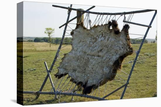 Hide Stretched on Native American Tanning Frame, North Dakota-Angel Wynn-Premier Image Canvas